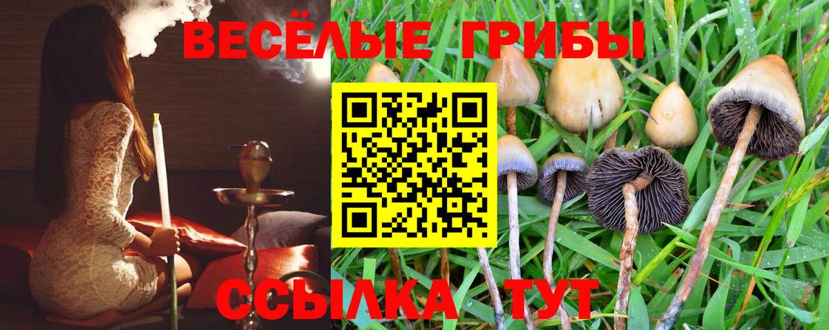 Галлюциногенные грибы мухоморы  Вход с VPN  Псилоцибиновые грибы мицелий  Муром 